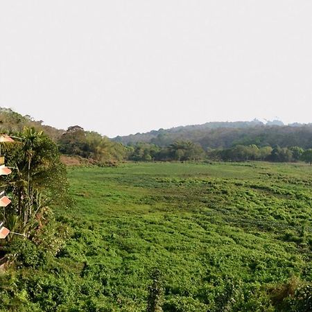 Jungle Palace Homestay Теккаді Екстер'єр фото