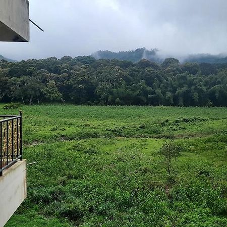 Jungle Palace Homestay Теккаді Екстер'єр фото