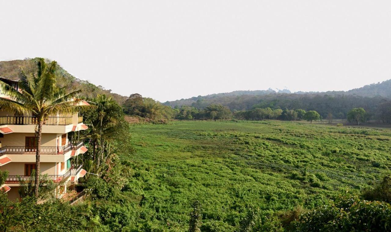 Jungle Palace Homestay Теккаді Екстер'єр фото