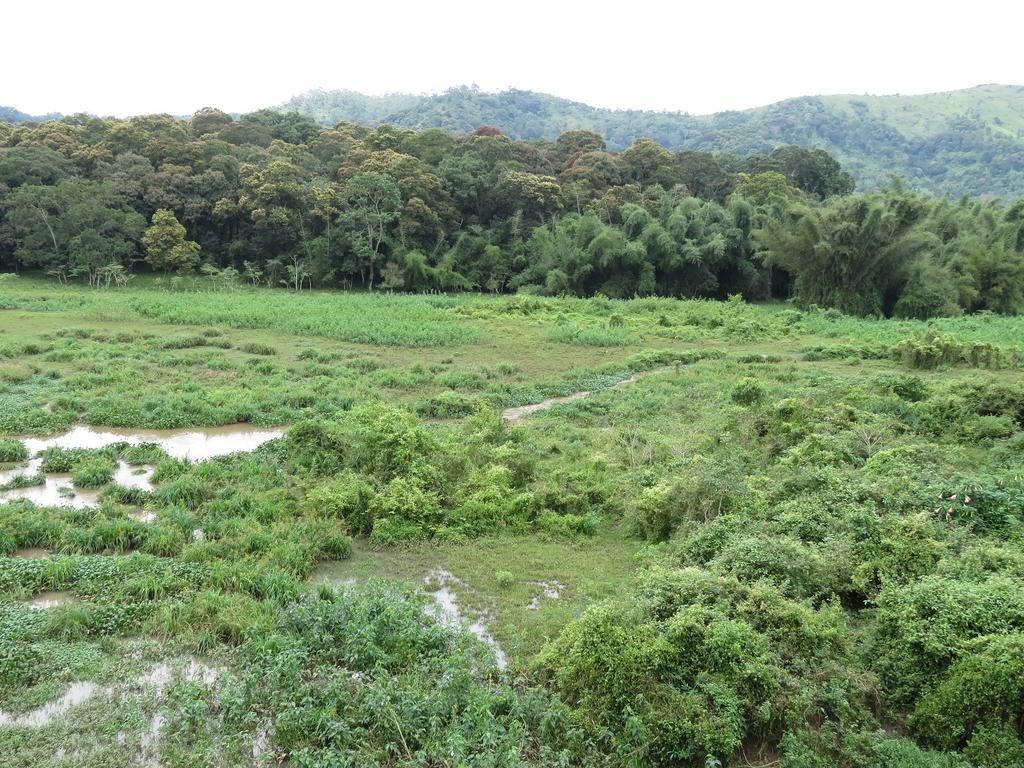 Jungle Palace Homestay Теккаді Екстер'єр фото