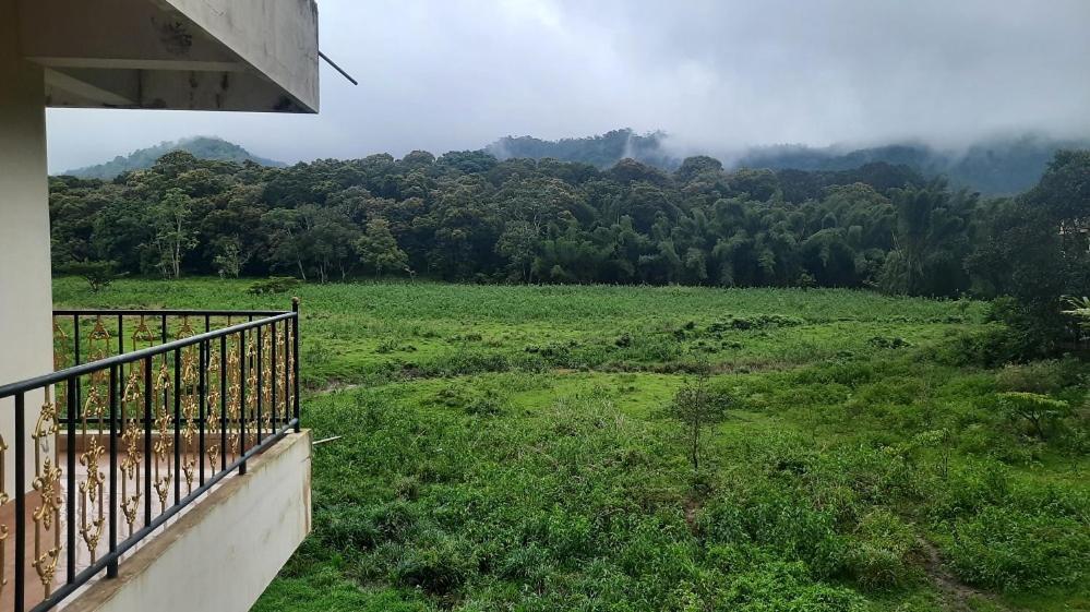 Jungle Palace Homestay Теккаді Екстер'єр фото